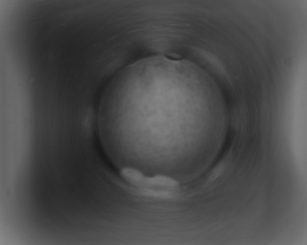 X0000101470036200807071452