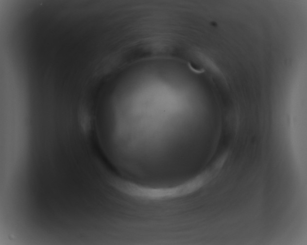 X0000101470039200807071452