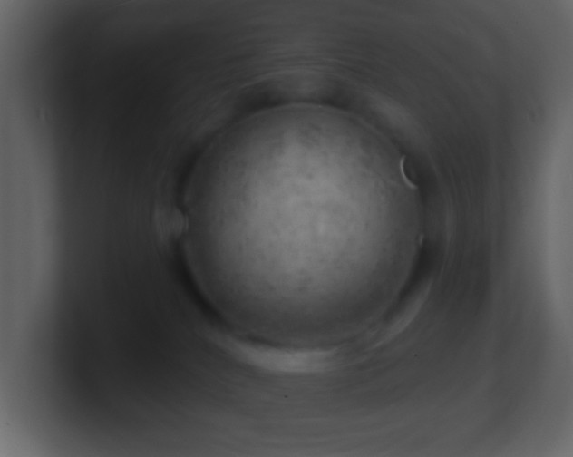 X0000101470040200807071452