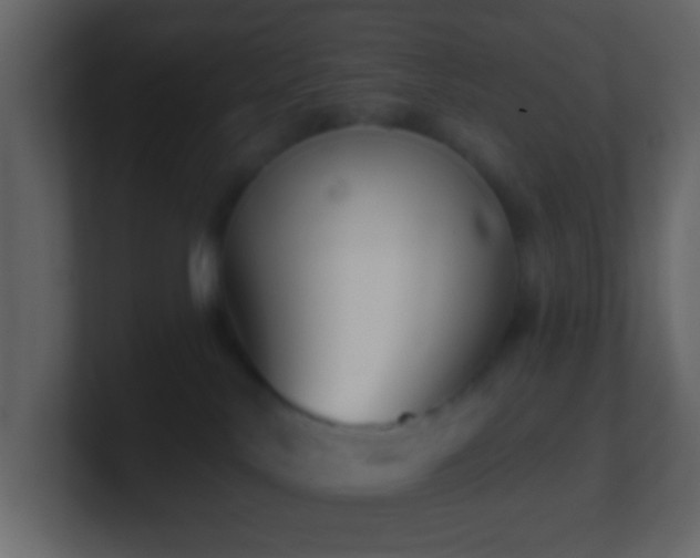 X0000101470042200807071452