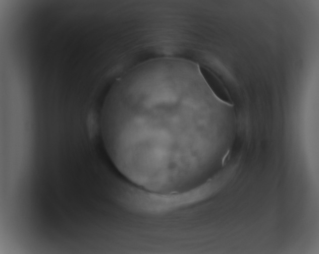 X0000101470043200807071452