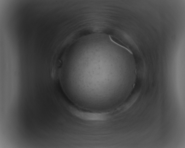 X0000101470044200807071452