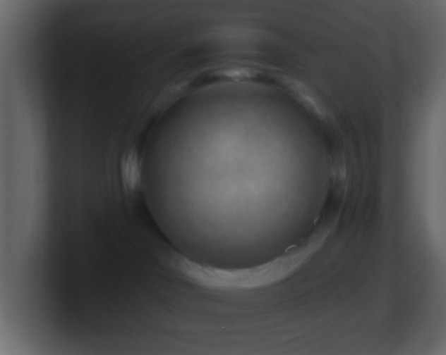 X0000101470046200807071452