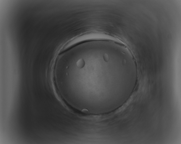 X0000101470049200807071451