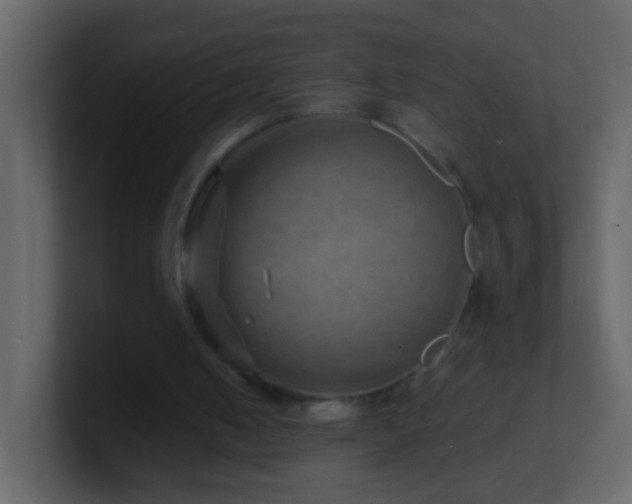 X0000101470050200807071451