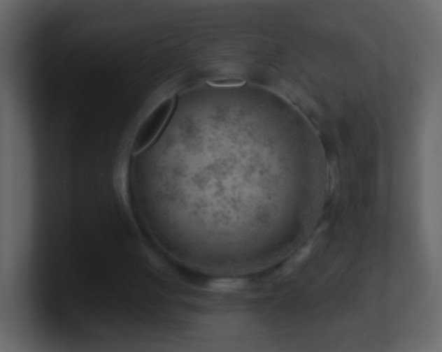 X0000101470051200807071451