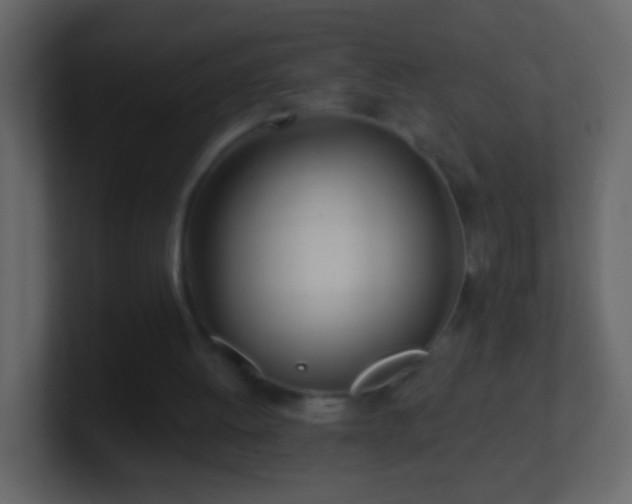 X0000101470052200807071451