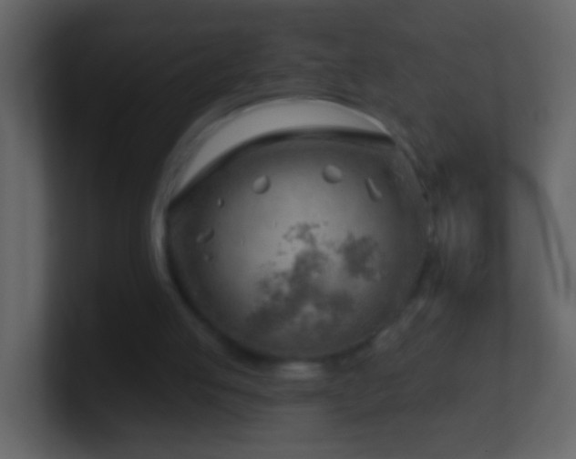X0000101470053200807071451