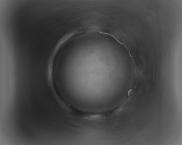 X0000101470054200807071451