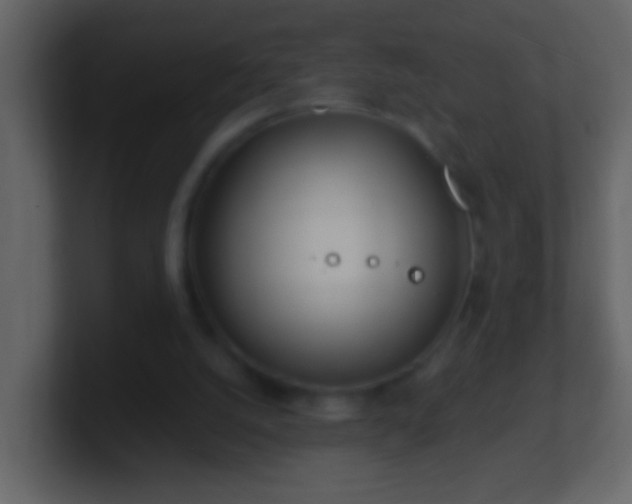 X0000101470056200807071451