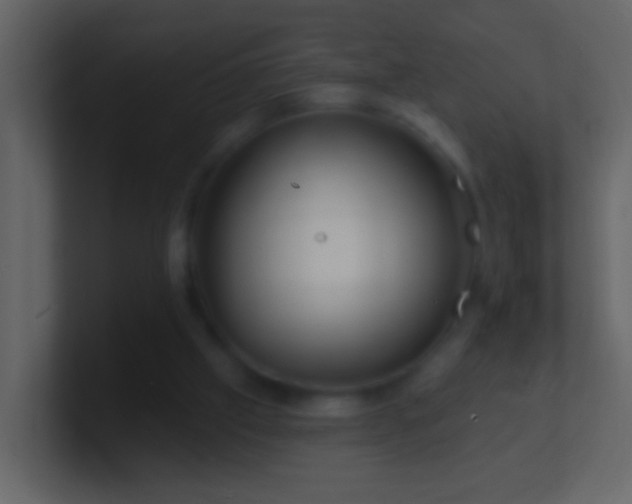 X0000101470057200807071451