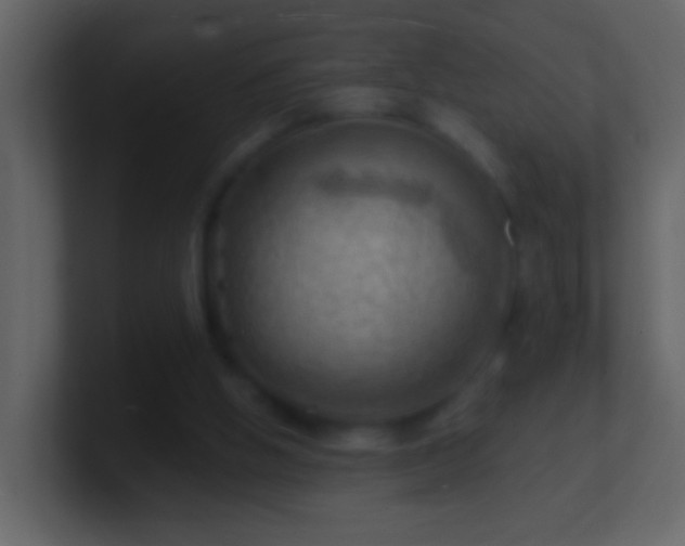 X0000101470058200807071451