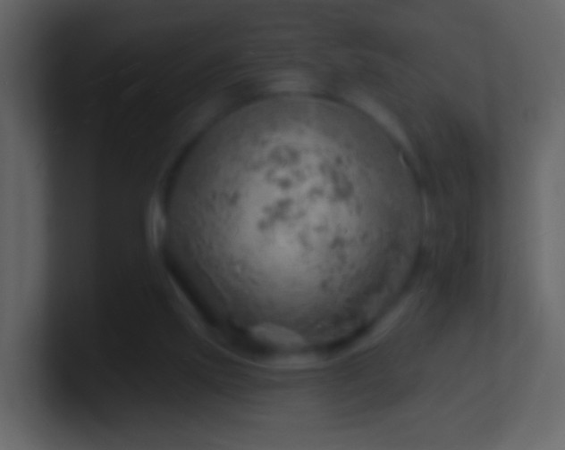 X0000101470061200807071451