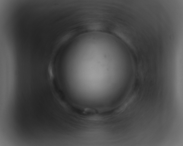 X0000101470062200807071451
