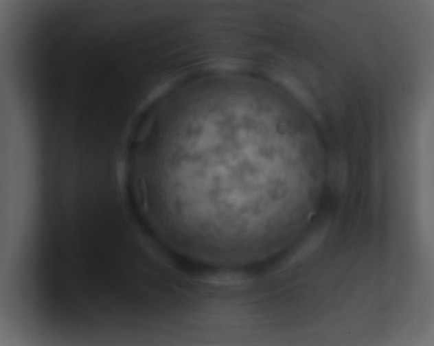 X0000101470063200807071451
