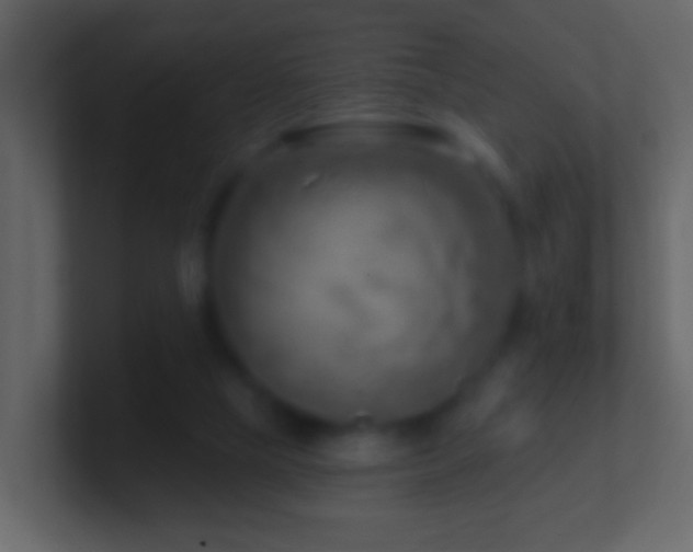 X0000101470065200807071451