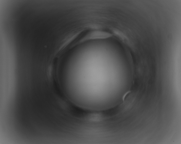 X0000101470066200807071452