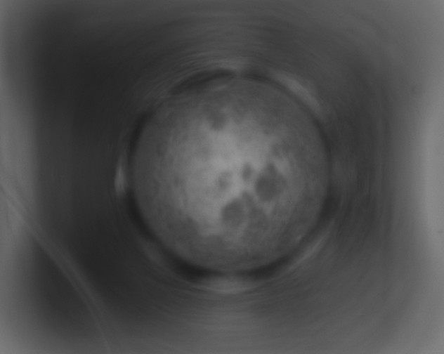 X0000101470069200807071452