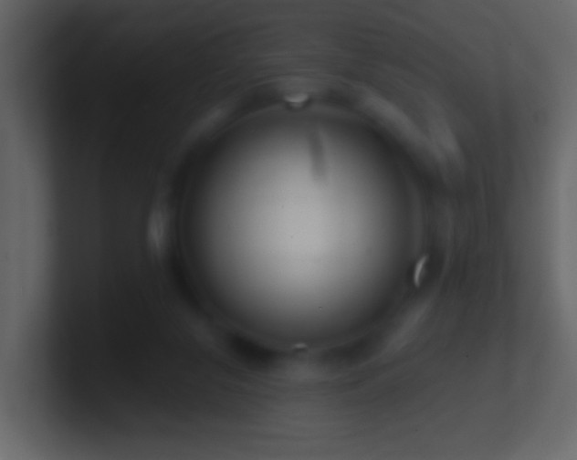 X0000101470071200807071452