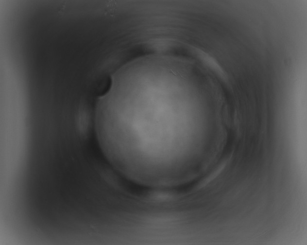 X0000101470073200807071452