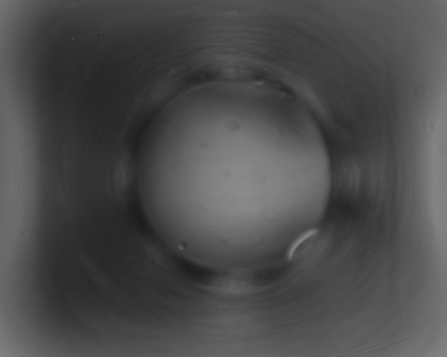 X0000101470078200807071452