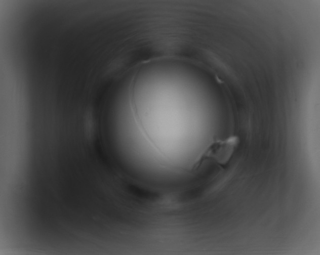 X0000101470080200807071452