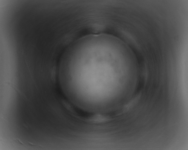 X0000101470082200807071452