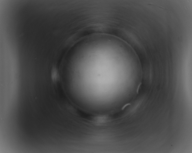 X0000101470089200807071452
