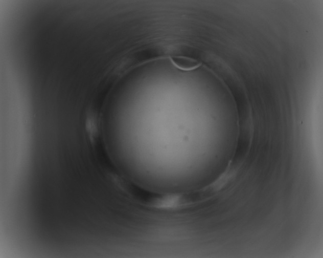 X0000101470090200807071452