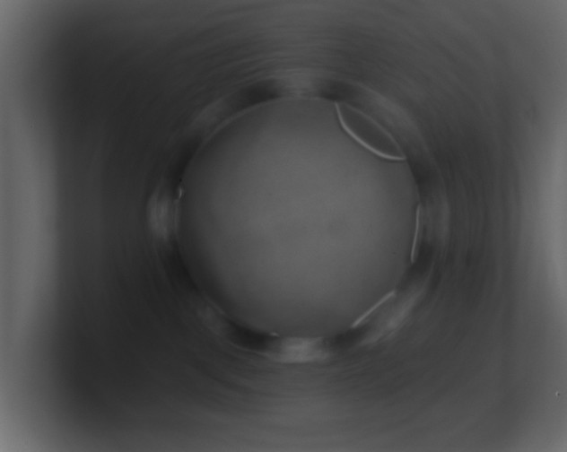 X0000101470093200807071452