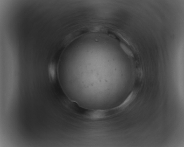 X0000101470094200807071452