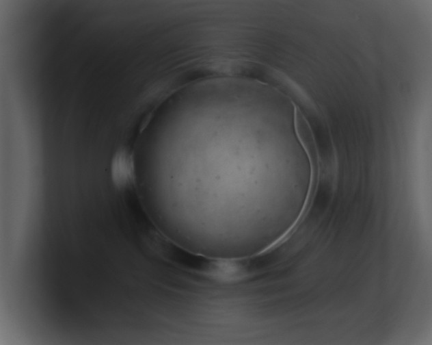 X0000101470095200807071452