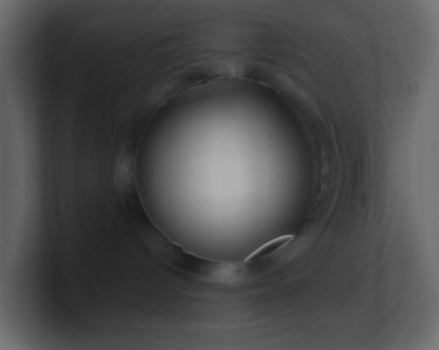 X0000101470096200807071452