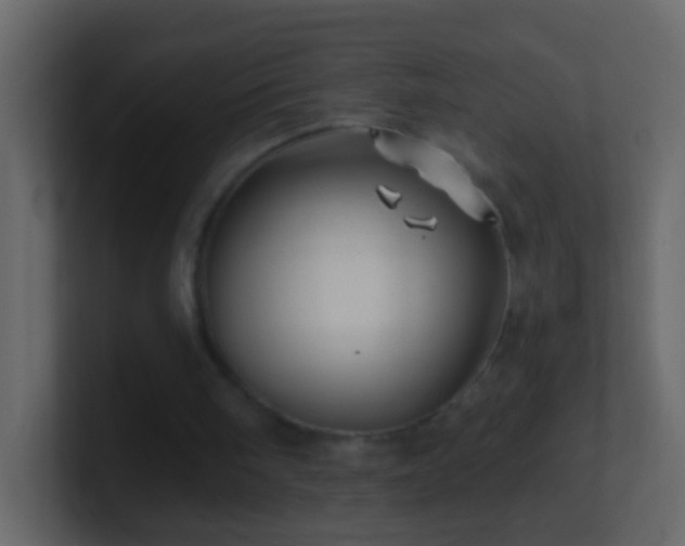 X0000101470098200807071451