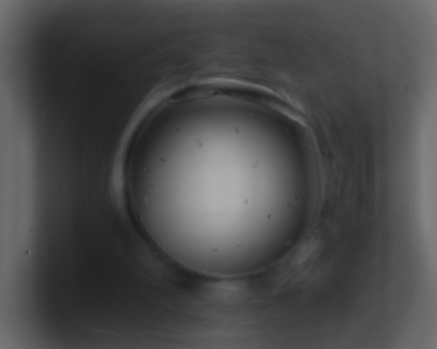 X0000101470102200807071451