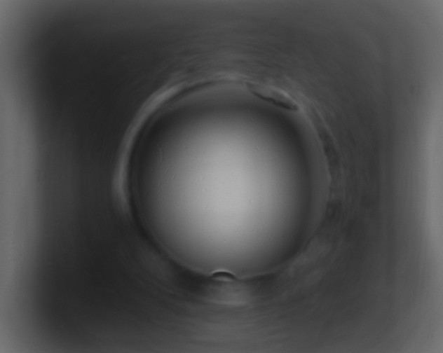 X0000101470104200807071451