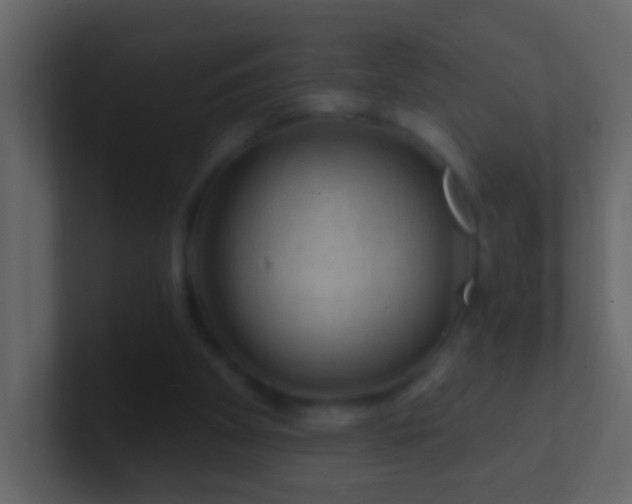 X0000101470105200807071451