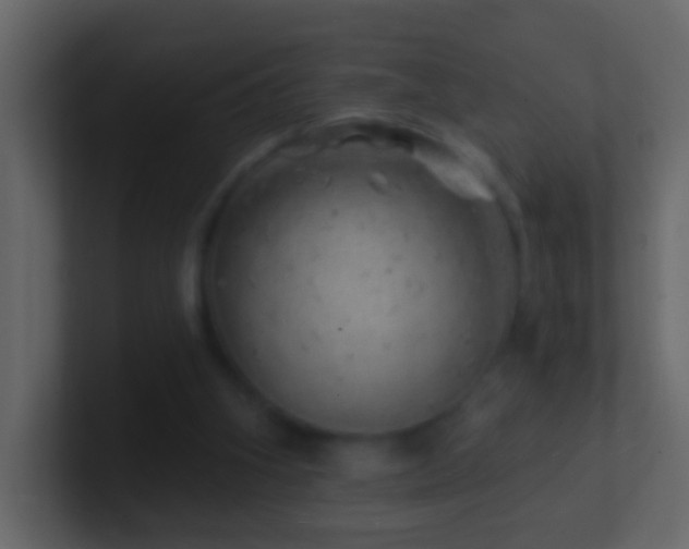 X0000101470106200807071451