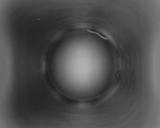 X0000101470109200807071451