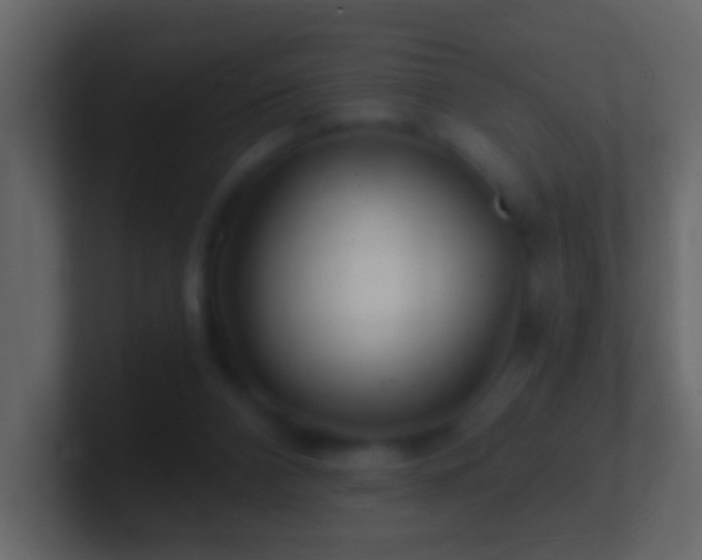 X0000101470112200807071451
