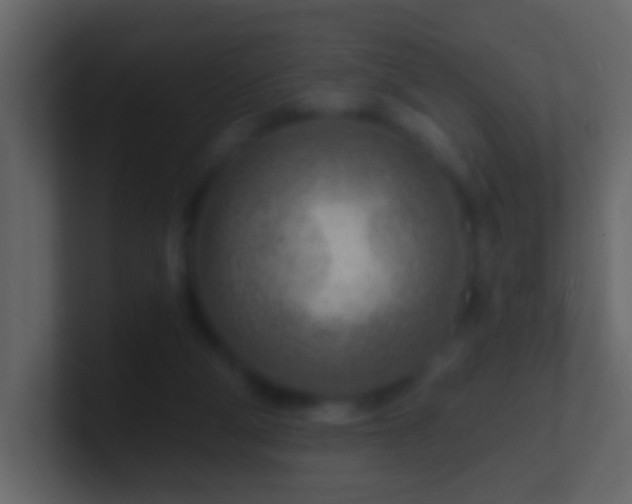 X0000101470114200807071451