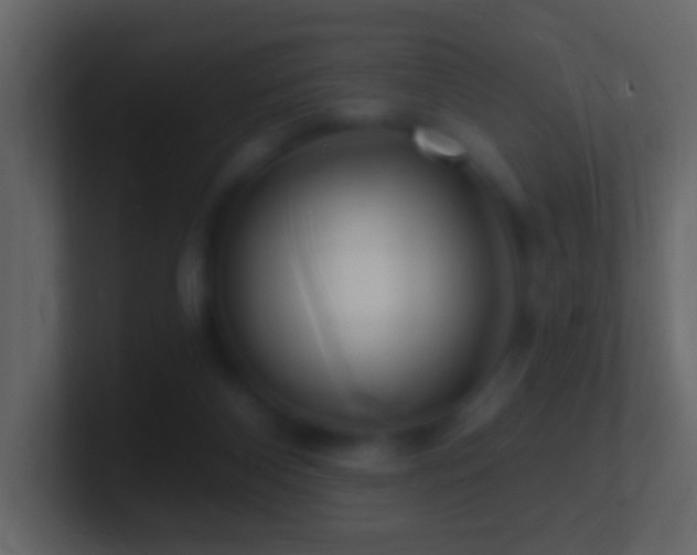 X0000101470116200807071451