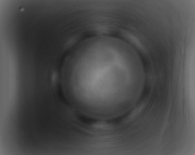 X0000101470123200807071451