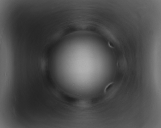 X0000101470126200807071451