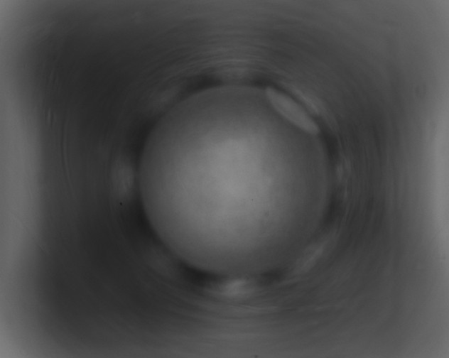X0000101470130200807071451