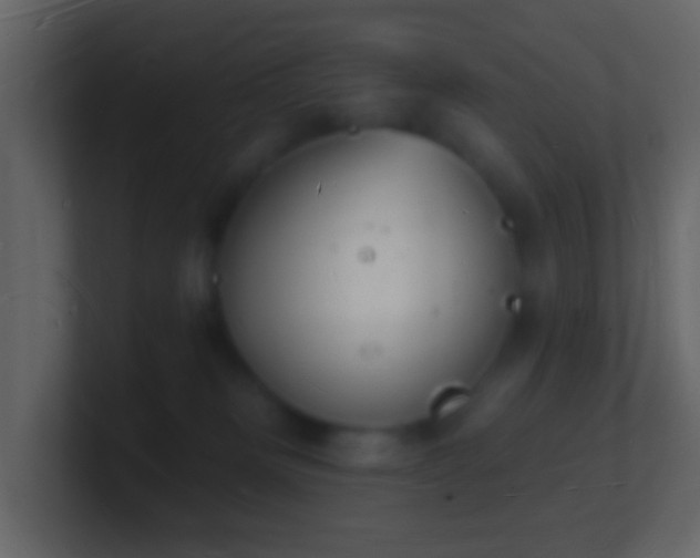 X0000101470133200807071451