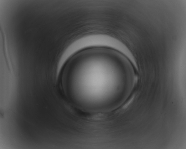 X0000101470136200807071451