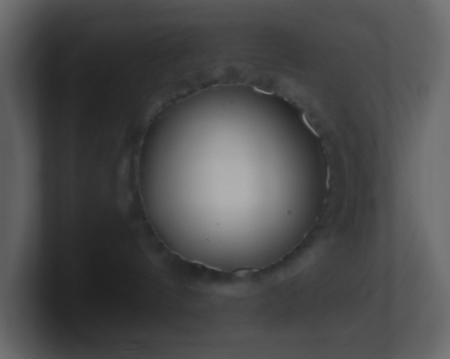 X0000101470144200807071451