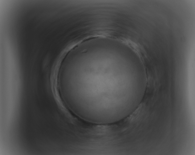X0000101470145200807071450