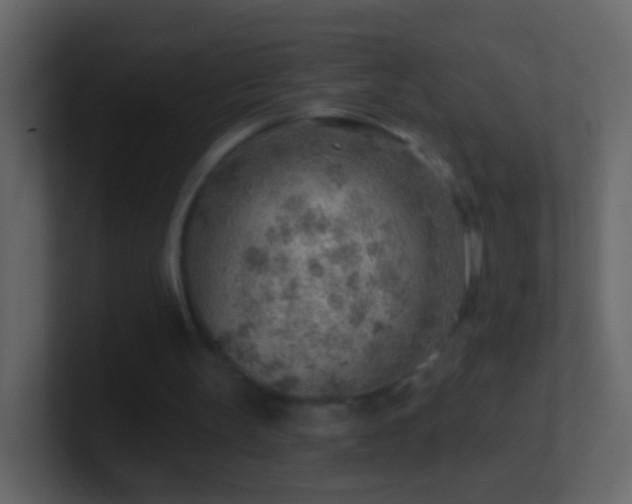 X0000101470147200807071450